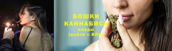 соль ск Волосово