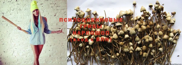 амф Володарск