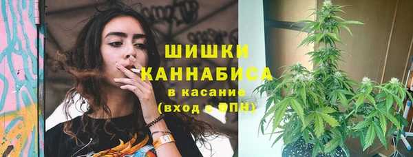 соль ск Волосово