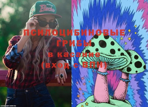 соль ск Волосово