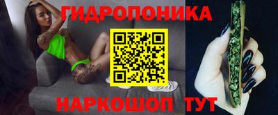каннабис Кингисепп