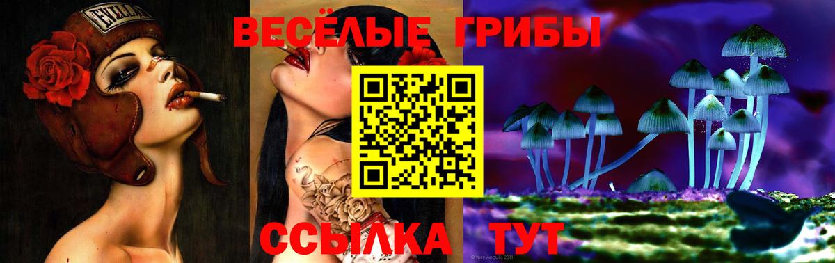 Псилоцибиновые грибы ЛСД  Миасс  Псилоцибиновые грибы Psilocybe 